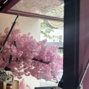 화산중앙로 | 화산샤브 대전 은행점 샤브샤브 해장 맛집 다녀온 후기