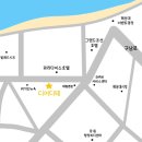 해운대 마린시티 끝장나는 뷰, 더샵 아델리스 아파트 화분/식물 배송후기 (feat. 디어디테)