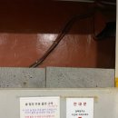 여수학동작심독서실 이미지