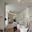 프렌치투어리스트 이미지