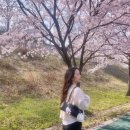 헤어B612