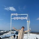 삼성목장 | 강원도 대관령 삼양 라운드힐 대관령 삼양 목장 3월 눈밭 여행 후기, 양 먹이 체험까지