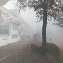 강림초등학교 앞 이미지