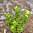 갈밭농장 이미지