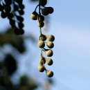 테라롯지 이미지