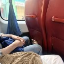 대망목장 이미지