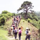 길따라…발따라…지리산 와운 옛길 이미지