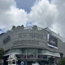 MG마트(미스김마트) | 태국 치앙마이 여행ㅣ마야몰 쇼핑(림핑마트/마켓), 님만해민 임산부 마사지 DN WELLNESS MASSAGE, 푸...