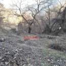 상천리-1 이미지