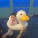 민성목장 | ✨해삐 뉴 이어 ✨ 1월 일상 (뻔뻔)