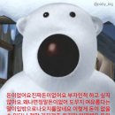 생활모아 이미지