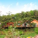 소나무황토펜션 이미지