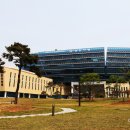 한국육계유통 이미지