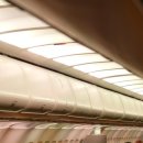 동산동물병원 이미지