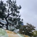 (주)미진환경 이미지