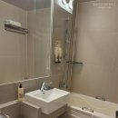 더 스위트호텔 | 인천 애견동반 숙소 '더위크앤리조트 더 테라스 스위트' 후기 - 애견호텔은 편리했지만, 위생이...