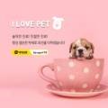 홈플러스 청라점(아이러브펫) 이미지