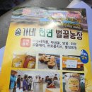 송가네농장 이미지