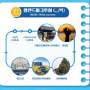 퐝랜드마크투어(동백) 네이버블로그