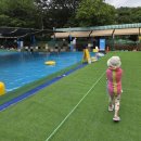 연기대첩비공원 | 세종 수영장 고복수영장 주말 방문 후기 준비물 주차