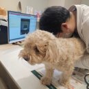 보라종합동물병원 | 남동구구월동연중무휴동물병원 ' 구월숲동물병원 ' 종합검진후기