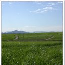 한강다목적운동장 축구장 이미지