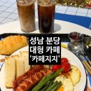 펫바이블 | [성남] 애견 동반, 가족 모임으로 좋은 분당카페 '카페지지' 후기