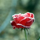 풍암호수공원 이미지