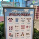빤쮸하우스 | 키움히어로즈 X 빤쮸토끼 콜라보 팝업스토어 주말 오픈런 후기_유니폼 100사이즈 착샷 정보