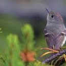 동부그린근린공원2 이미지