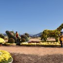 오동동109 이미지