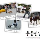 광장농장 이미지