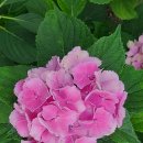 부안실내골프연습장 이미지