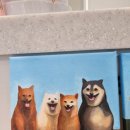 프라임동물병원 이미지