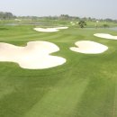 유니카트 이미지