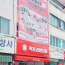 목포과일모찌 이미지
