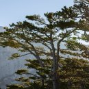 행복사우나 이미지