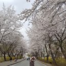 여주대학교 이미지