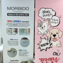방수소파 강아지 키우는집 필수품