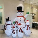 유일교정 치과기공소 이미지