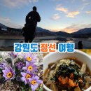 강원도 정선 가볼만한곳 정선 여행 정선5일장 아리랑시장, 동강할미꽃축제 이미지