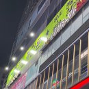 개구리 노래연습장 이미지