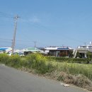 상모리-12 이미지