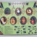 지금 장수농장 | 대구 수성구 들안길 장수풍뎅이 사슴벌레 키우기 관리 애벌레 성충 들안길 곤충농장