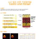 체형관리센터 이미지