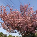 선흘1리경로당 네이버블로그