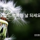 샤보이 미용실 이미지