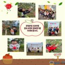 별마로농장 이미지