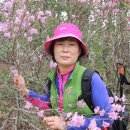 신지면-2 이미지