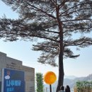 나무해담 이미지